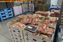 “太多水果了“西澳州的小农场可能会在加州大丰收后因樱桃而亏损